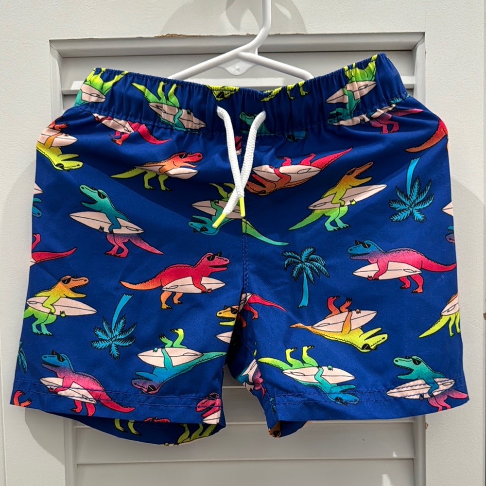 Colorful Dinosaur Print Kids Swim Shorts